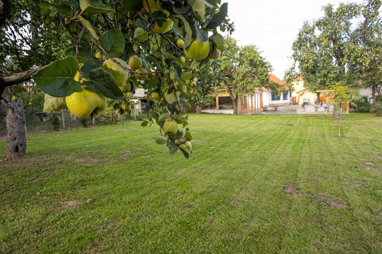 Csendülő Vendégház Noszvaj Exterior foto